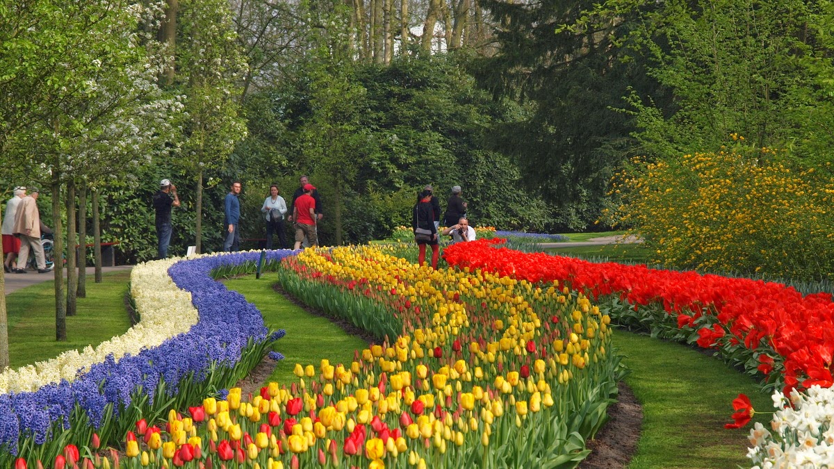 Il Parco di Keukenhof in Olanda da visitare in primavera per la fioritura dei tulipani