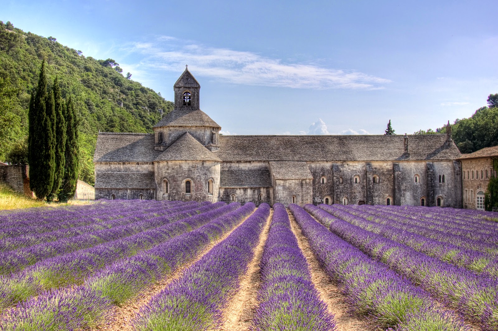 L'Abbaye di Sénanque circondata dai campi di lavanda in Provenza