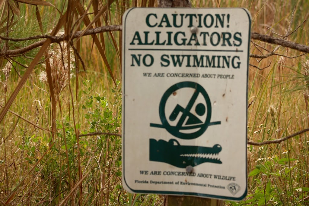 Strano cartello della Florida di divieto balneazione causa alligatori