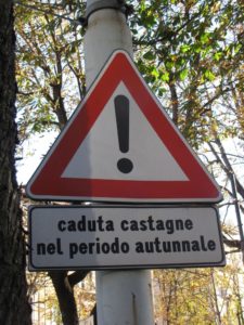 Cartello stradale che segnala il pericolo di caduta castagne
