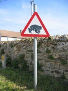 Divertente il cartello che segnala il pericolo di attraversamento rospi