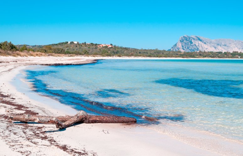 La spiaggia a Cala Brandinchi, San Teodoro, Sardegna